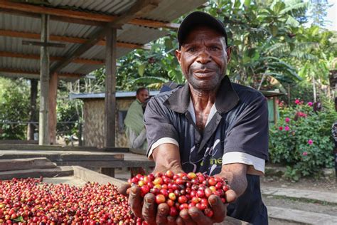 The Appeal Of Papua New Guineas Growing Specialty Coffee Scene Beanscene