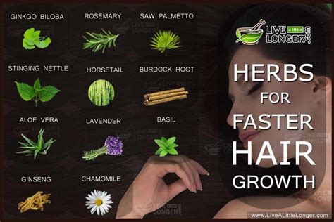 Herbs For Natural Hair Growth