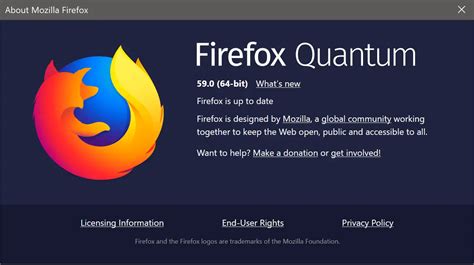 Mozilla Firefox Release New Privacy Setting