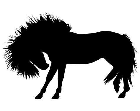 Horseponyshetland Ponyanimalequine Free Image From