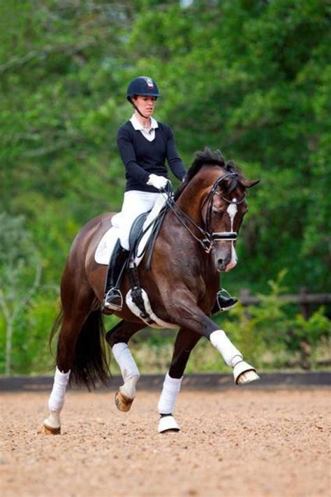 Charlotte Dujardin Top Tips For Dressage Horses Horse Equestrian