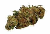 Pictures of Marijuana Weeds