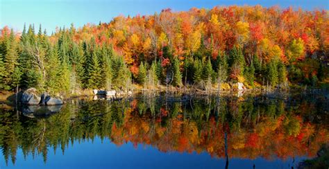 Panoramic Fall Ii A Photo From Quebec Central Trekearth