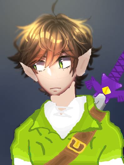 I Made A Link Cosplay Costume For My Pfp With Ms Paint
