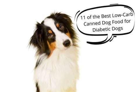 11 Of The Best Low Carb Canned Dog Food For Diabetic Dogs Mr Dog Food