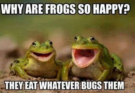 85 happy memes to brighten your day and make you smile happy memes cheesy jokes funny frogs