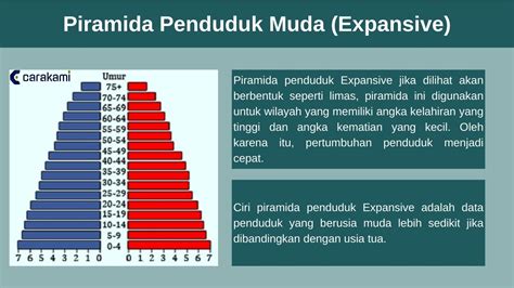 Jenis Jenis Pengertian Dan Fungsi Piramida Penduduk Konsep Geografi