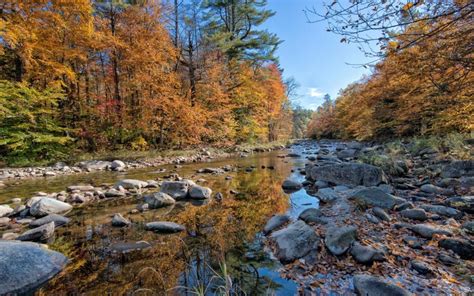 Forest River Rocks Autumn Wallpaper Nature And