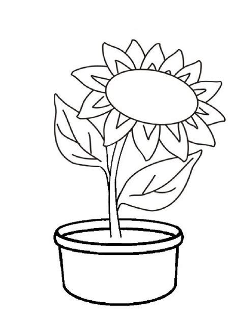 Sketsa Gambar Bunga Matahari Yang Mudah Di Tiru Tarunas