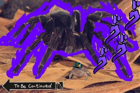Frogtaro And His Stand Star Spider In Jojo Part 3 Rainforest