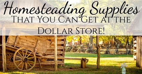 Homesteading Supplies You Can Get At The Dollar Store Frugal Living