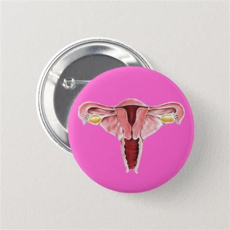 Female Reproductive System Button Zazzle