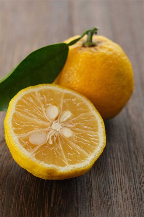 What Is Yuzu Fruit And How Does It Taste Ultimate Guide Spatula