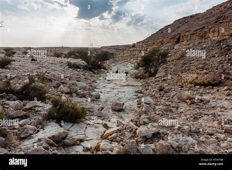 A Wadi Near Abu Jifan Fort Riyadh Province Saudi Arabia Stock Photo