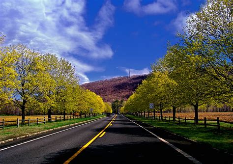 Hd Wallpaper Close Photo Of Concrete Road Between Trees Distance With