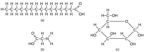 Carbon And Carbon Bonding Biology For Non Majors I