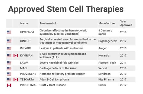 Stem Cell Therapy Conditions Currently Approved In Canada Acorn Blog