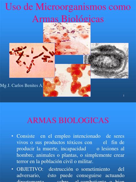 Ebola virus disease (known simply as ebola) is caused by the epizootic ebola virus, which is thought to be found in mammals of the family pteropodidae (aka fruit bats) 17. Armas Biologicas | Ebola Virus Disease | Virus
