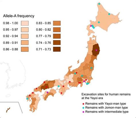 First Japanese And Their Genetic Heritage Facts And Details