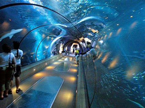 Aquarium In New York City New York ~ Best Places To Travel