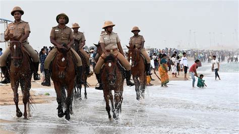 Watch All About Chennais Mounted Police Branch The Hindu