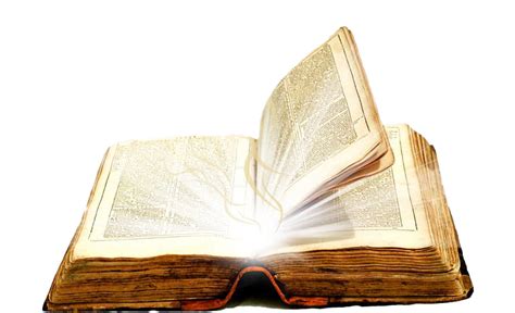 Open Bible Transparent | PNG All png image