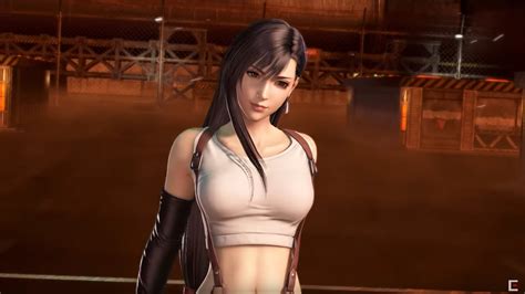 Dissidia Final Fantasy Nt Tifa Lockhart Confirmed Cat With Monocle