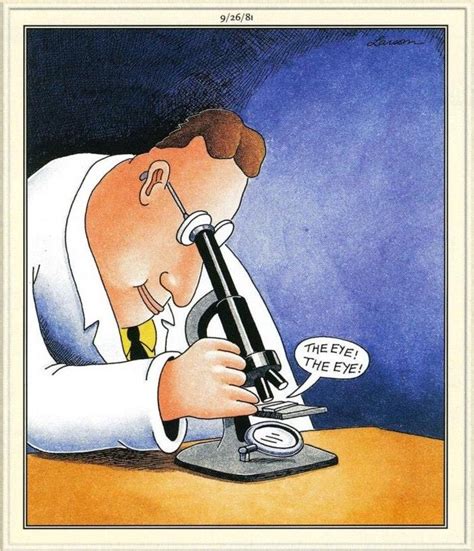 Far Side Cartoons Gary Larson Cartoons Funny Meme Pictures Porn Sex Picture