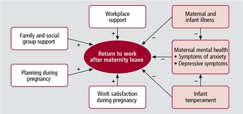 The Role Of Planning Support And Maternal And Infant Factors In Women