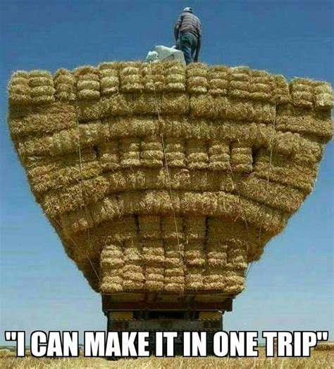 50 Best Farming Memes So Funny Your Goat Will Laugh
