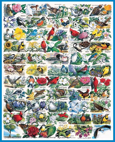State Birds And Flowers 1000pc ⋆ Time Machine Hobby