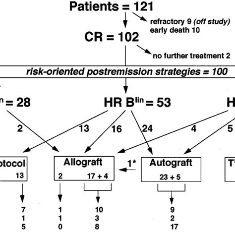 Flow Chart Diagram Representing Treatment Realization And Outcome In Sr