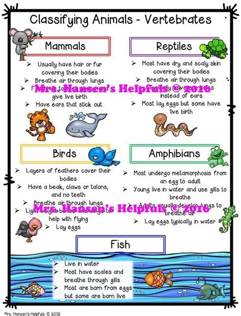 Mammals And Reptiles Differences Pets Lovers