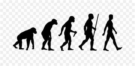 Human Evolution Ape Neanderthal Png Download 770430