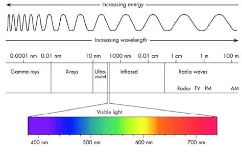 1 Diagram of the light's electromagnetic spectrum, showing the ...