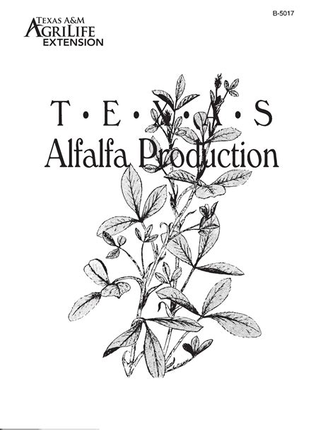 Texas Alfalfa Production Publications Agrilife Learn