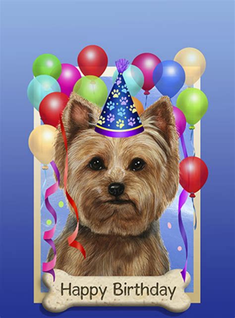 Happy Birthday Images With Yorkies💐 — Free Happy Bday Pictures And