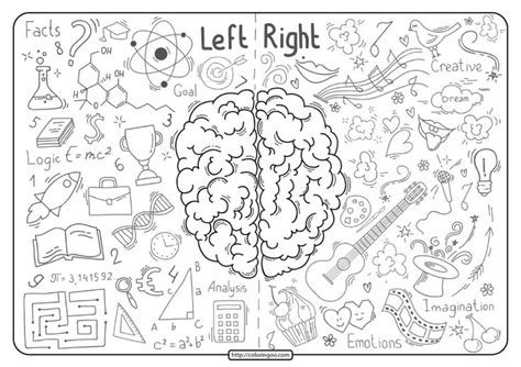 Https://wstravely.com/coloring Page/printable Brain Anatomy Coloring Pages