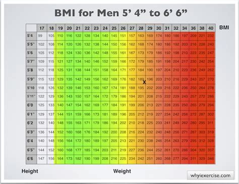 The case is that the determination of body mass index for both men and women is realized in accordance with an identical bmi formula. Body mass index with health risk charts and illustrations
