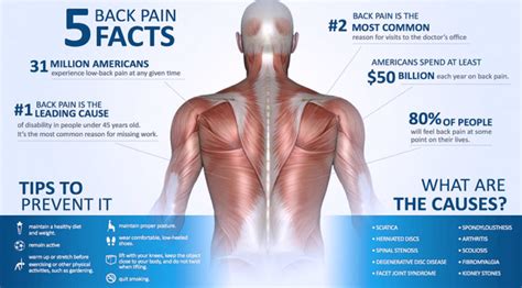 Depression Chronic Back Pain Pain Management Doctors Tijuana