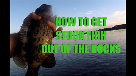 Walk into any hardware store and you can find traps and other devices said to repel rodents. How to Get Stuck Fish Out Hung In Rocks - YouTube