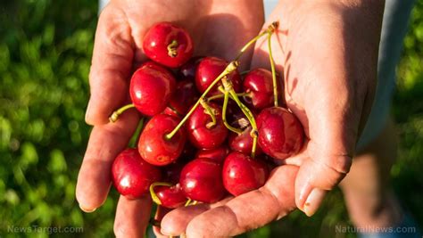 How Do Cherries Help Gout