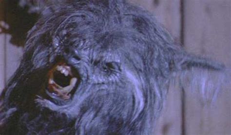 The Top 10 Best Werewolf Movies From 1980 To 2020 By Todd Martin Hnn