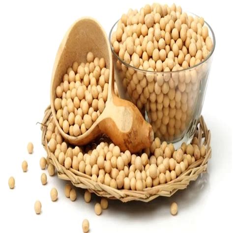 High Protein Soybean Soy Beans New Crop Light Yellow Soybean White Soya