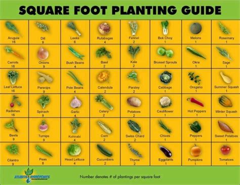 Square Foot Gardening When I Pin For Hubs Pinterest