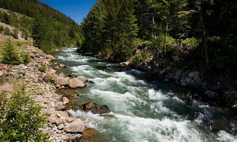 Flathead National Forest In Montana Alltrips