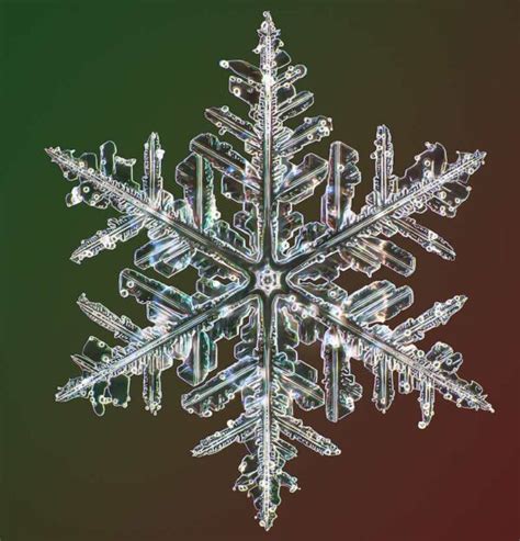 Check Out The Greatest Snowflake Photos Ever Taken With Vividly High