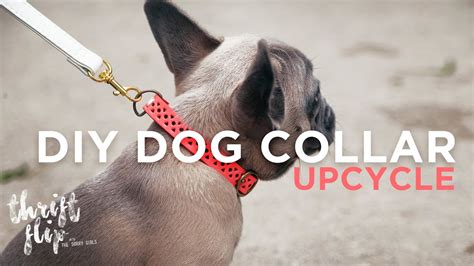 Diy Dog Collar And Leash The Sorry Girls Youtube