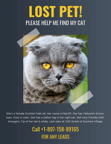 Dark Missing Cat Poster Template