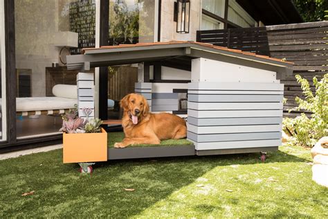 24 Luxury Dog Houses Amazing Ideas